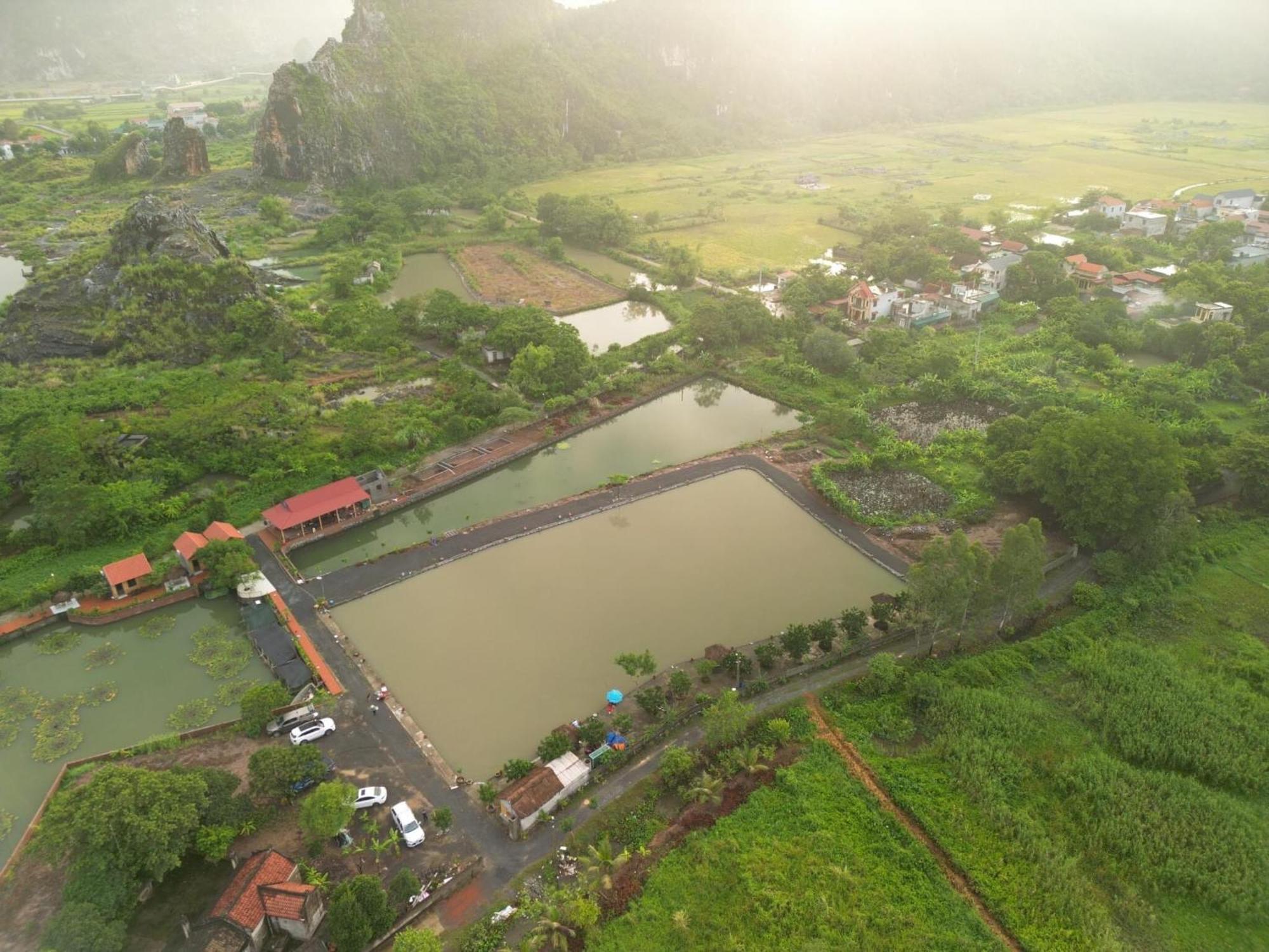 Tam Coc Cat Luong Homestay نينه بينه المظهر الخارجي الصورة